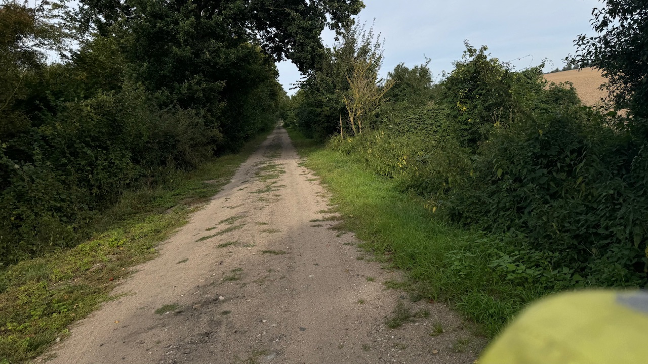 IMG_5037.jpeg