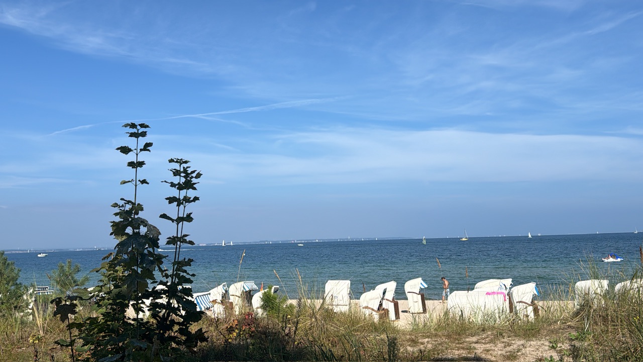 270802C7-C89A-403B-B3E8-ED1F2C0D06B1.jpeg