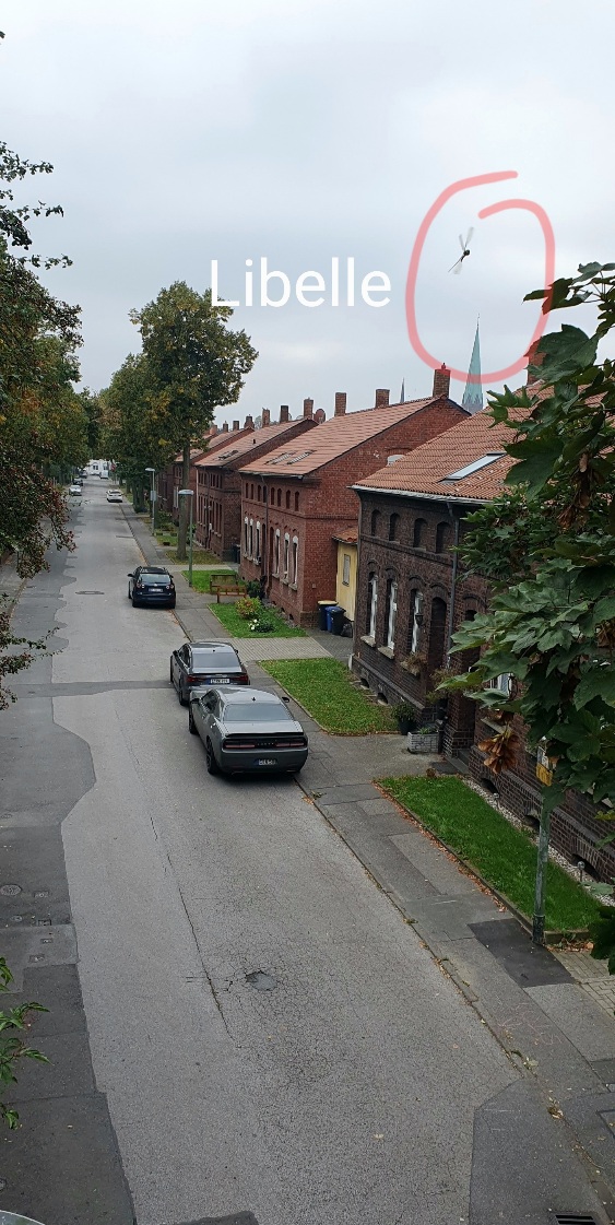 Zechensiedlung.jpg