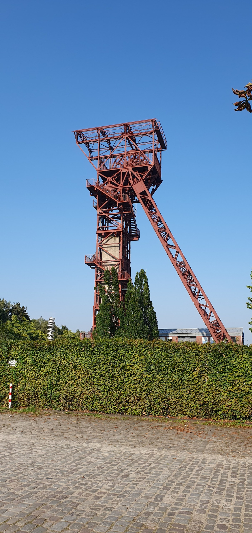 Rückweg.jpg