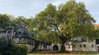 IMG-20241021-WA0026.jpg