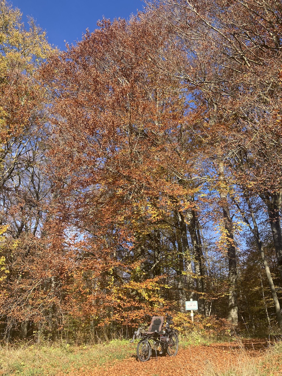 IMG_9053.jpeg