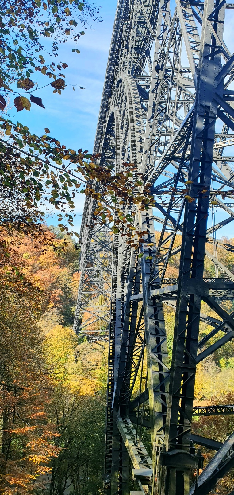 20241026_133556.jpg