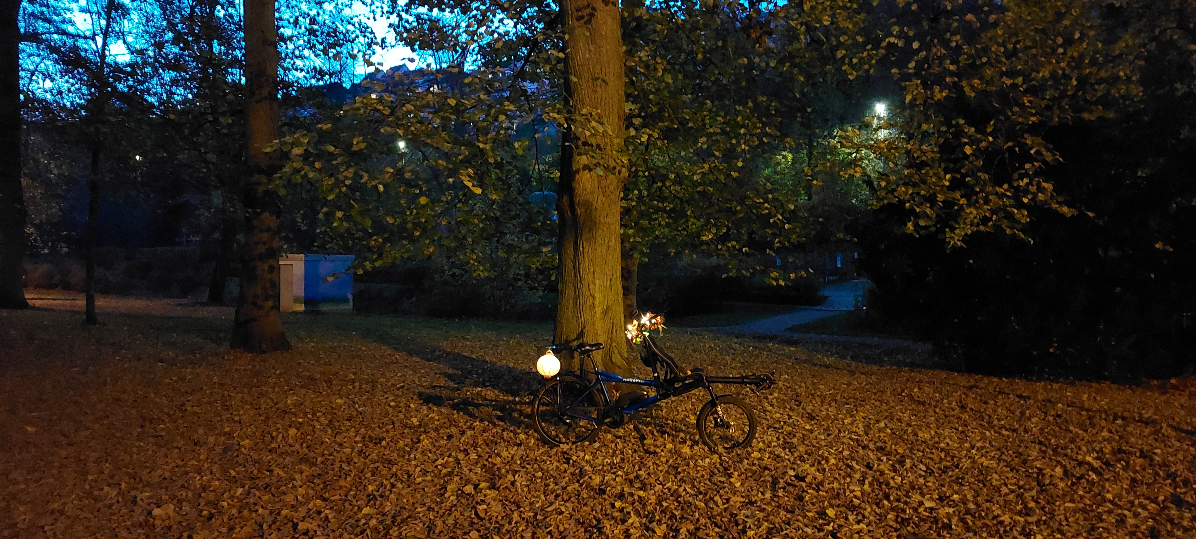 20241027_175221.jpg