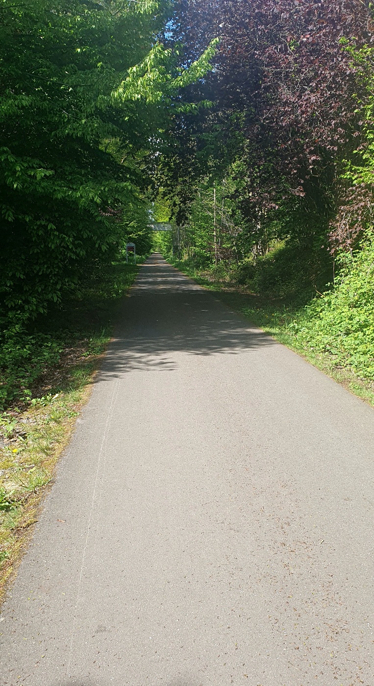20250426_120253.jpg