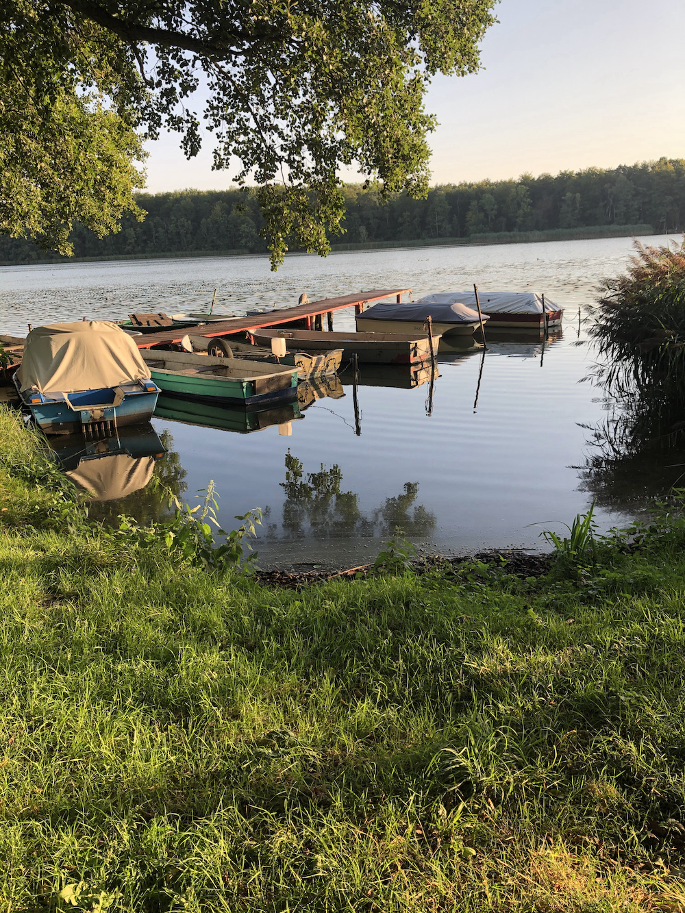 IMG_8344 Kopie.jpeg