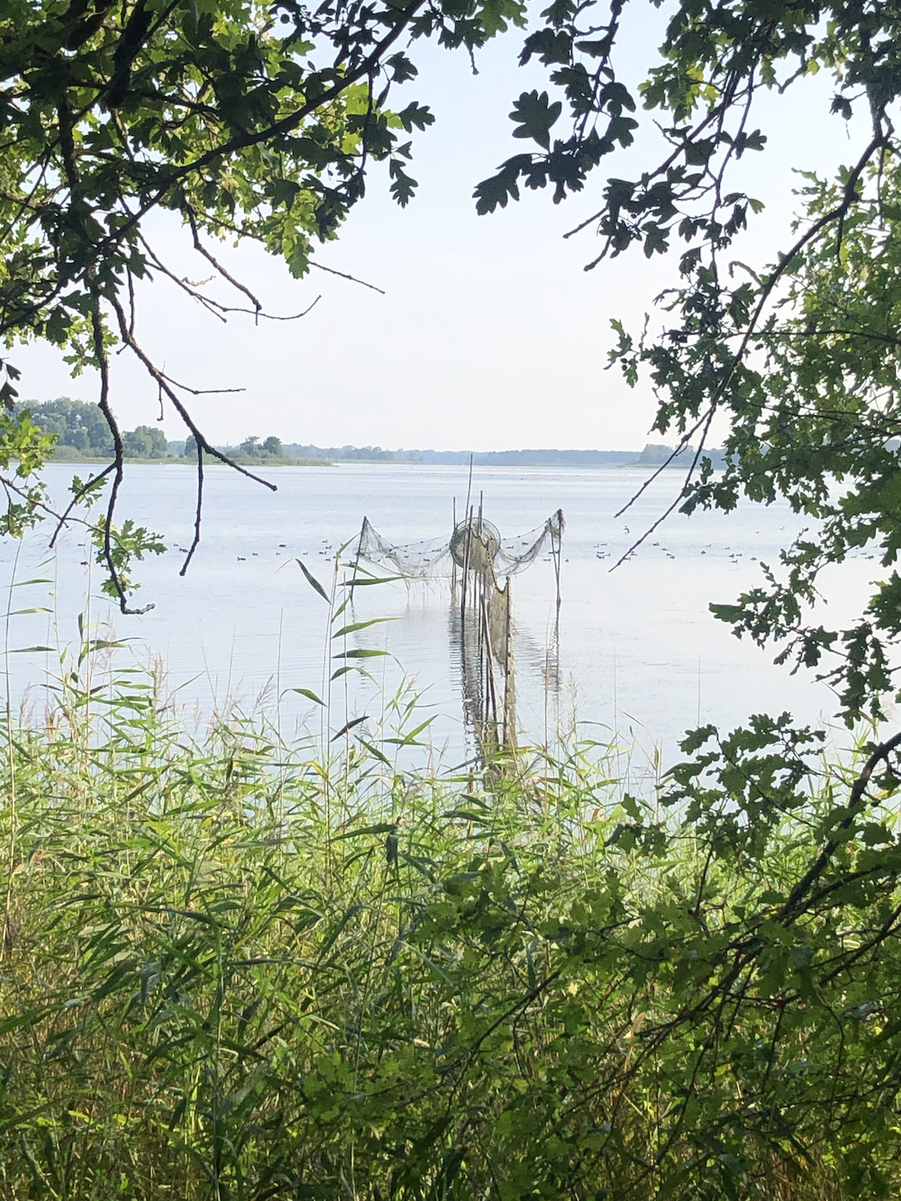 IMG_8409 Kopie.jpeg