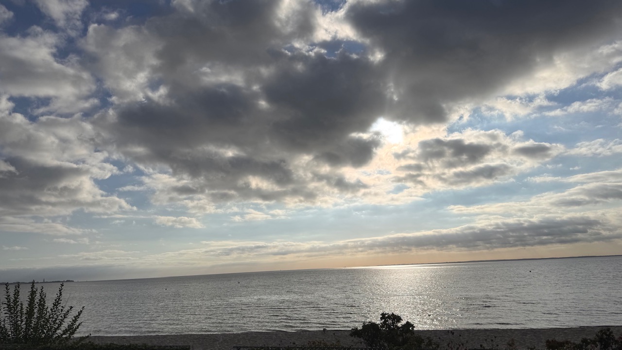 IMG_1104.jpeg