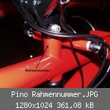 Pino Rahmennummer.JPG